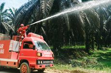 Musim Mas Beri Insentif Rp 25 Juta Bagi Desa Bebas Api di Riau