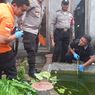 Balita Kembar di Nganjuk Ditemukan Tewas di Kolam Ikan Depan Rumah, Orangtua Syok