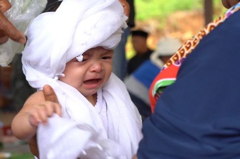 Seumuleung Tradisi Menyuapi Sang Raja Baru di Aceh, Digelar Sejak 500 Tahun yang Lalu