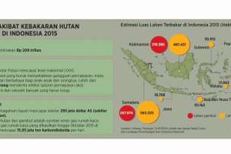 Kerugian akibat kebakaran hutan di Indonesia