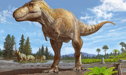 Ahli Identifikasi Sepupu T-rex, Seperti Apa?