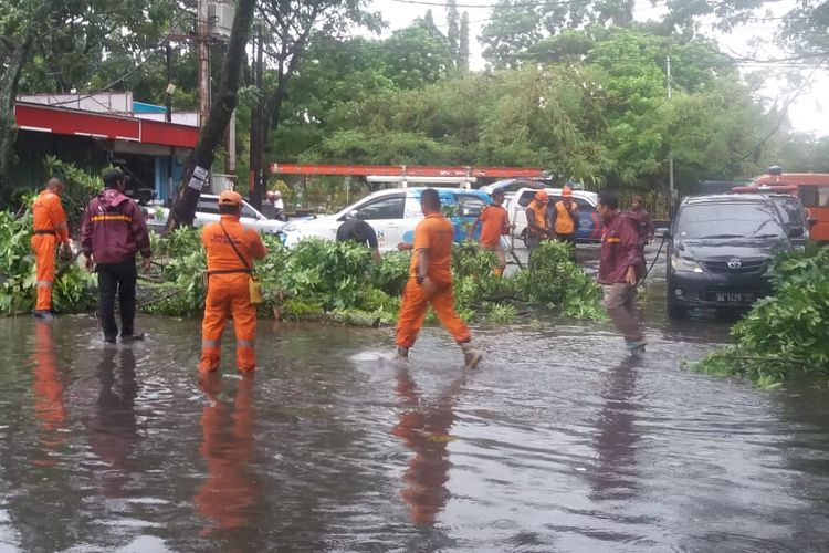 Petugas BPBD Padang melakukan pembersihan pohon tumbang di Kota Padang, Sabtu (22/6/2019) (Dok: BPBD Padang)