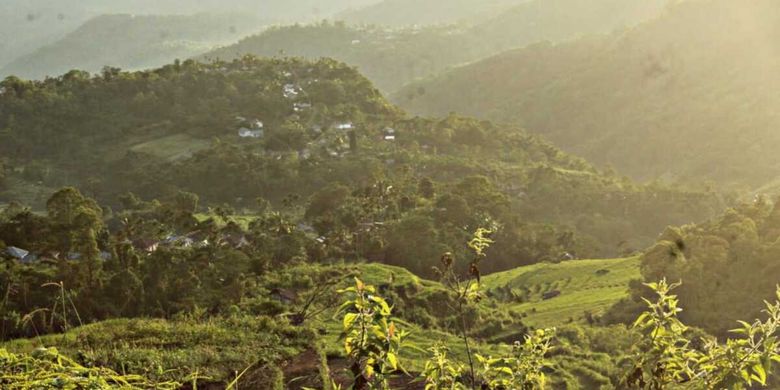 Harus Tahu Menulis, Cara Milenial di Manggarai Timur NTT Promosikan Wisata