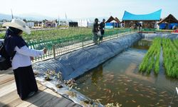 Kementerian KP Hadirkan One Stop Services di Ajang Penas XVI Padang