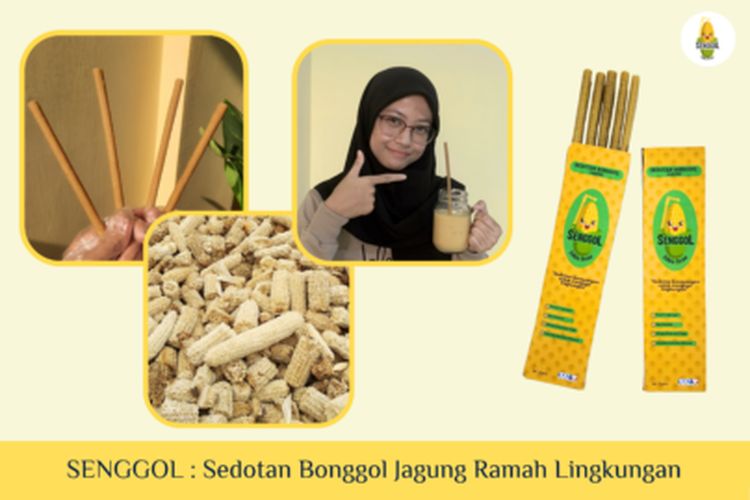 Sedotan ramah lingkungan dari bonggol jagung hasil inovasi mahasiswa Universitas Brawijaya (UB).