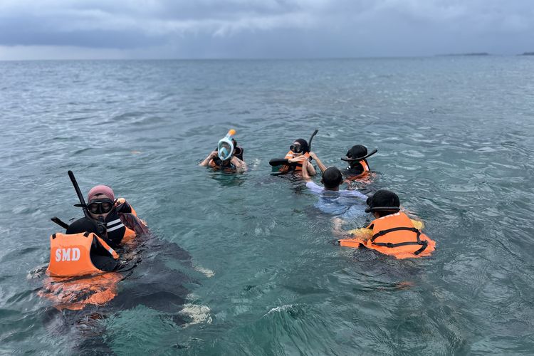Snorkeling di kawasan Asha resort, Pulau Payung, Kepulauan Seribu, Senin (27/11/2023).