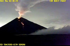 Gunung Semeru Alami 619 Letusan dalam Seminggu