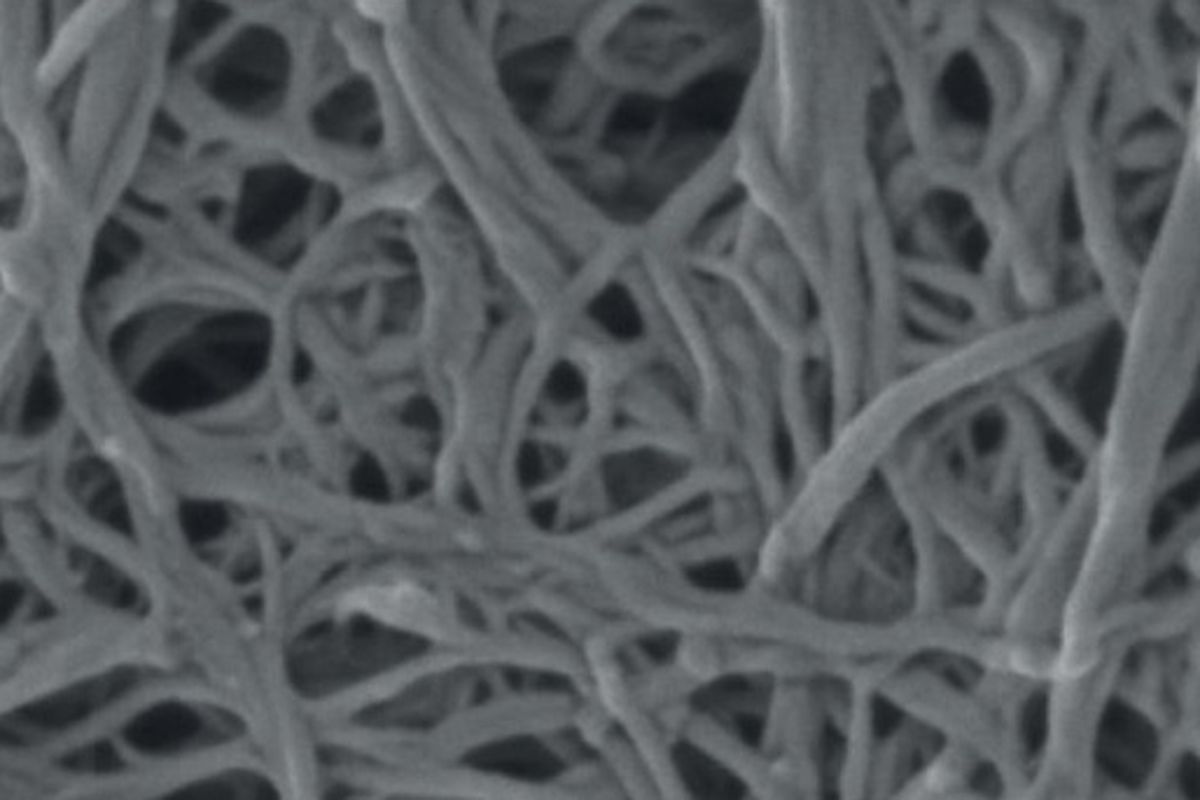 Nanofiber