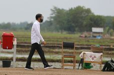 Jokowi Urges Vigilance as Covid-19 Poses Threat to Food Crisis