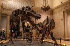 Apakah Dinosaurus Itu Nyata? Ini Penjelasannya!