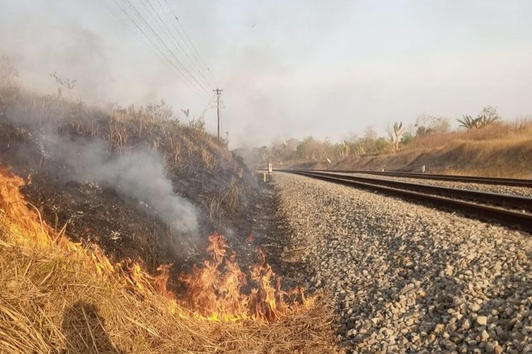 KEBAKARAN—Kebakaran terjadi di area dekat jalur kereta api di di Km 137+9  sampai dengan 138+0 antara Stasiun Bagor – Saradan, Selasa (15/8/2023). Kondisi mengakibatkan kedatangan kereta terlambat lantaran harus dilakukan pemadaman terlebih dahulu.
