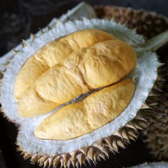 Ilustrasi buah durian bawor. 