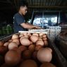 BERITA FOTO: Harga Telur Ayam Tertinggi Sepanjang Sejarah, Rp 31.000 Per Kg