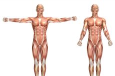 Pandji Pragiwaksono Minta Maaf dan Siap Jalani Proses Hukum atas Lawakan yang Singgung Toraja