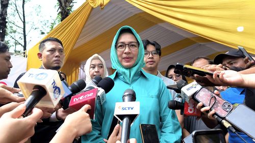 Keluarga Ratu Atut Berguguran di Pilkada 2024, Hanya Unggul di Tangsel