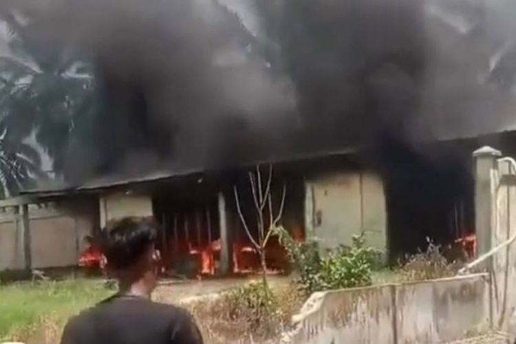 Dugaan Pelanggaran HGU Berujung Kericuhan di Aceh Timur, Bupati Minta Warga Tak Terprovokasi