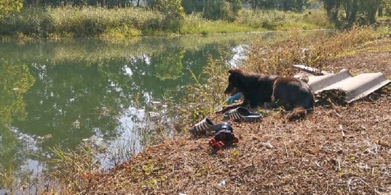 Mhee, seekor anjing berusia enam tahun milik keluarga Somprasong Srithongkhum di Thailand duduk di tepi danau. Di sebelahnya adalah sandal Srithongkhum. Diduga, dia tewas tenggelam ketika hendak menyalakan penyiram untuk menyirami kebun durian.