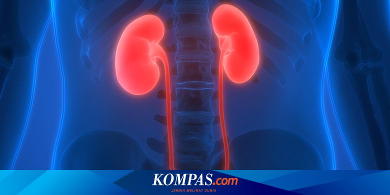 Penyebab DM Hipertensi dan Diabetes Jadi Penyebab Utama Ginjal Kronik 