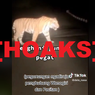[HOAKS] Video Harimau Melintas di Kawasan Gunung Pegat Wonogiri