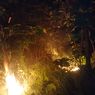 Api Sisa Pembakaran Sampah Belum Padam, Lahan 2 Hektar di Semarang Terbakar