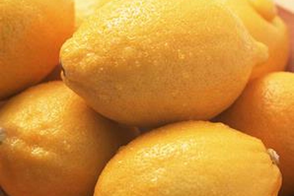 Salah satu menu harian Bondan Winarno