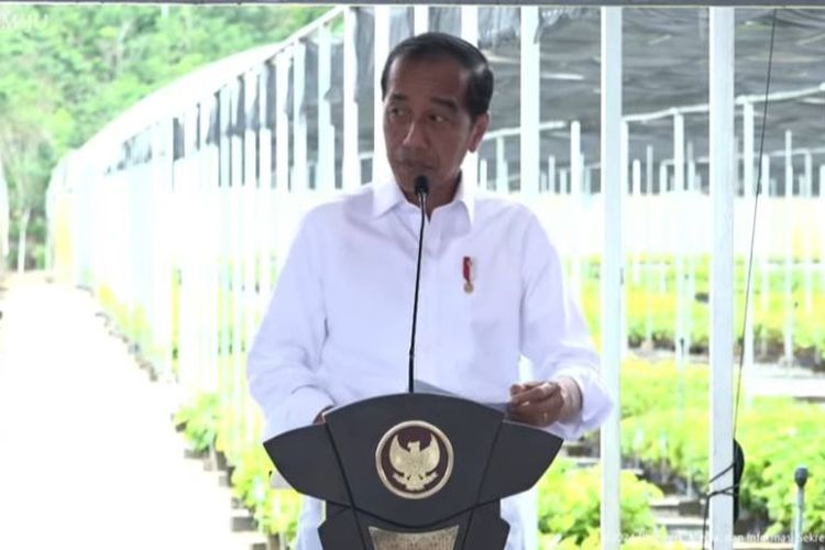 Presiden Joko Widodo meresmikan persemaian Mentawir di Kabupaten Penajam Paser Utara, Kalimantan Timur, Selasa (4/6/2024). 