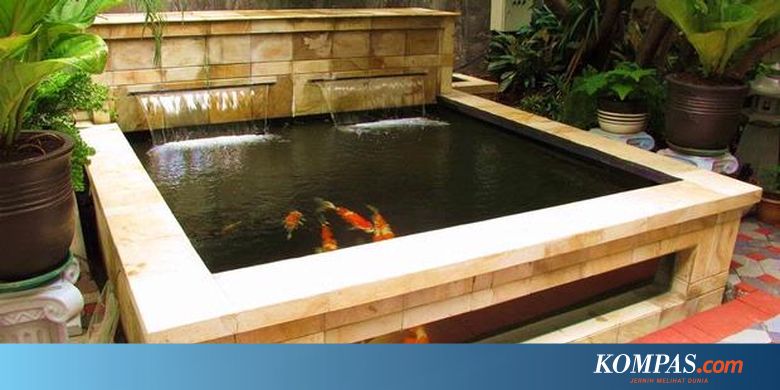 Posisi Kolam Ikan Koi Dan Keberuntungan Halaman All Kompascom