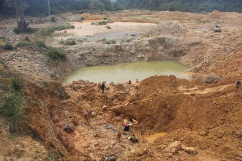 Bertahan Melawan Penambangan Emas Ilegal, Warga Hutan Desa Lubuk Bedorong Jambi Sampai Bakar Alat Berat Pelaku