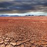 Kekeringan Ancam Dunia, Kerugian Ekonomi dan Kemanusiaan Meningkat