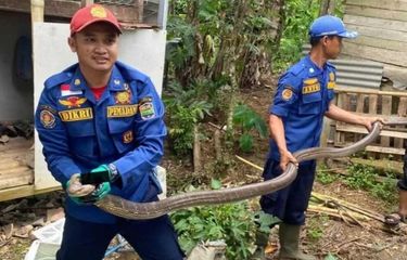 Menengok Cara Penanganan