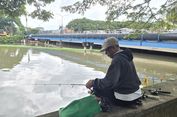 Ketika “Ikan Pembersih” Mengancam Ekosistem Sungai