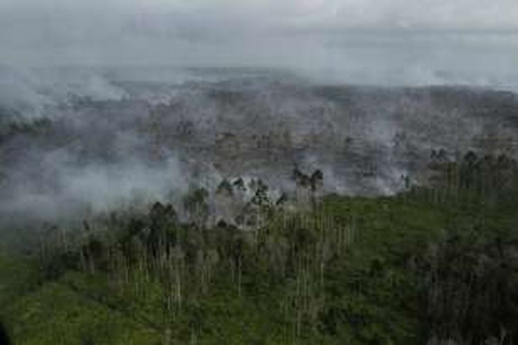 Asap mengepul dari kebakaran hutan yang berbatasan dengan kawasan konsesi di Kabupaten Kepulauan Meranti, Riau, Selasa (15/3/2016).