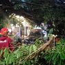 Tertimpa Pohon Tumbang di Kuningan Jaksel, Mobil Penyok, Pejalan Kaki Luka-luka