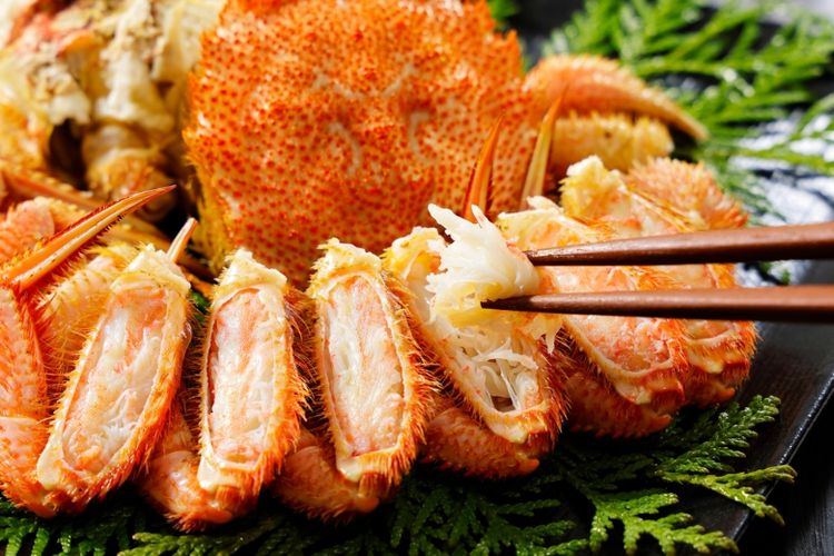 Ilustrasi tarabagani atau horsehair crab khas Hokkaido, Jepang