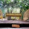 Hutan Bambu Lumajang: Daya Tarik, Harga Tiket, Jam Buka, dan Rute