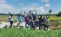 Dengan Alsintan, Petani Nabire Bisa Panen Raya di Tengah Pandemi