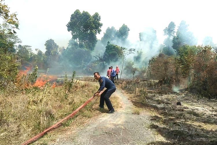 Dalam Dua Jam 1,5 Hektar Lahan di Lampung Selatan Ludes Terbakar