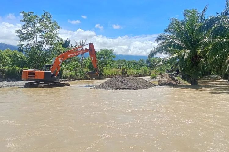 BPBA Laporkan 153,74 Hektare Lahan Padi dan Jagung Terdampak Banjir di Aceh Tenggara