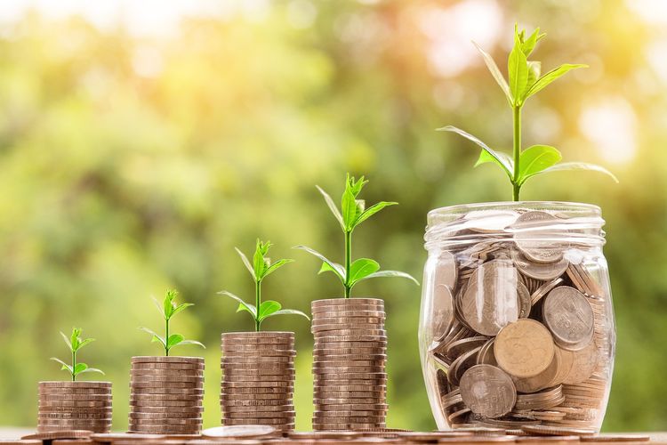 Cara Memulai Investasi Reksadana Pasar Uang untuk Pemula