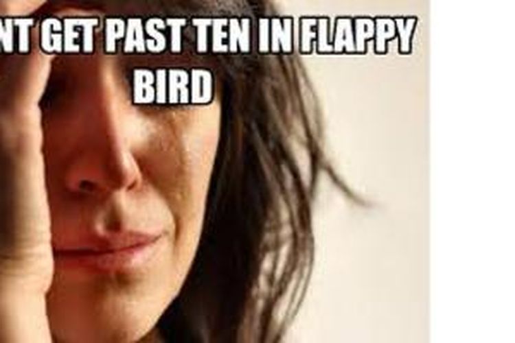 Gambar olahan bernuansa lucu (meme) yang menggambarkan ekspresi memainkan Flappy Bird