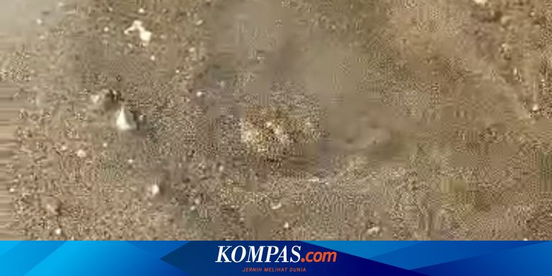 Berita Harian Semburan Air Panas Terbaru Hari Ini - Kompas.com