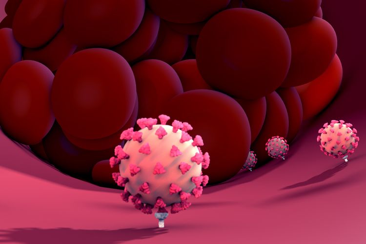 Ilustrasi virus corona menyebabkan pembekuan darah.