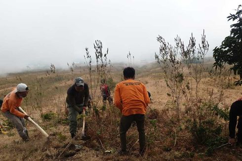 Update Kebakaran Kawasan Hutan Rinjani, Luas Lahan Terbakar Jadi 130 Hektar