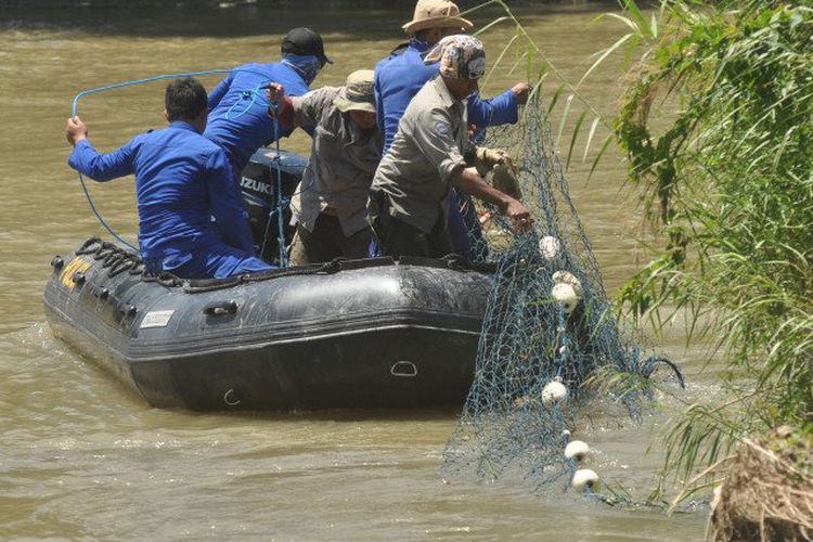 Petugas memasang jaring untuk mempersempit ruang gerak buaya liar yang terjerat ban sepeda motor saat berlangsungnya proses penyelamatan di Sungai Palu, Sulawesi Tengah, Jumat (7/2/2020). Perilaku buaya yang berpindah-pindah dan sulit didekati serta banyaknya warga yang berada dilokasi menjadi kendala utama yang dihadapi petugas untuk melakukan proses evakuasi dalam upaya penyelamatan satwa tersebut dan terpantau hingga pukul 18.00 WITA buaya tersebut belum berhasil ditangkap oleh petugas. 