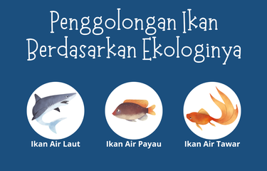 Berdasarkan ekologinya, ikan terbagi menjadi tiga yaitu ikan air tawar, ikan air laut, dan ikan air payau.
