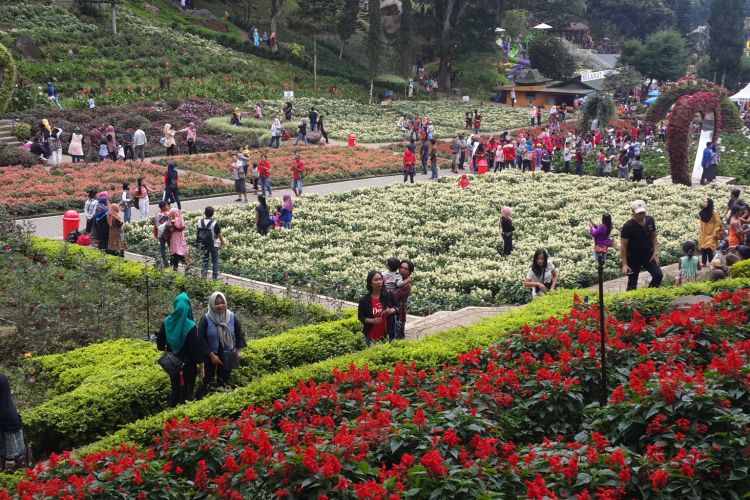 Sejumlah wisatawan saat menikmati kebun bunga di lokasi wisata Selecta, Kota Batu, Jawa Timur, Minggu (16/7/2017)