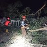 Tembok Makam Pahlawan Ambruk Tertimpa Pohon 15 Meter yang Tumbang akibat Angin Kencang di Sukabumi