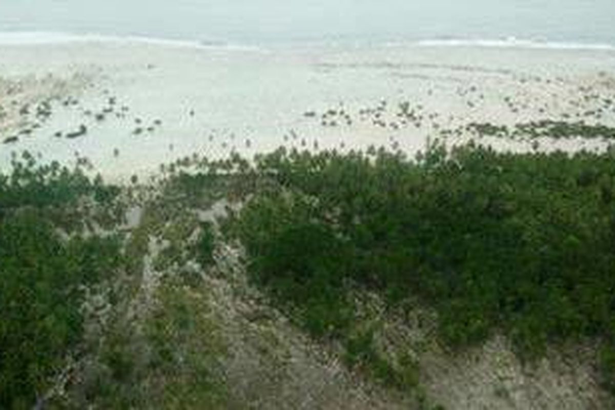 Jejak gelombang tsunami yang menyapu tepi pantai di kawasan Pagai Selatan, Kabupaten Kepulauan Mentawai, hancur akibat gempa dan tsunami, Rabu (27/10/2010).