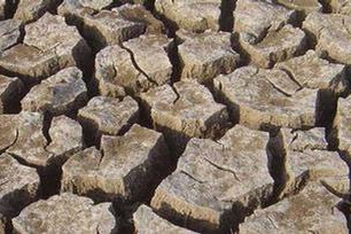 Ilustrasi kekeringan atau kemarau