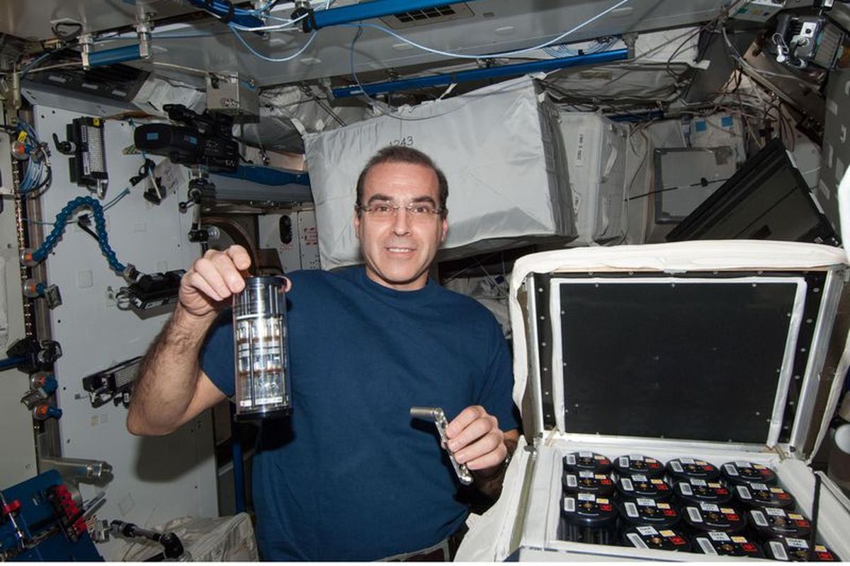 Astronot Rick Mastracchio berpose dengan bakteri yang ditumbuhkan menggunakan antibiotik di ISS